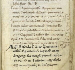 A page from the 11th century medical handbook it’s thought that Baldwin brought with him to Bury. The darker text at the bottom of the page was added by a scribe apparently closely associated with Baldwin, possibly even by Baldwin himself. Note also the use of the medical Rx symbol on the top line shown in this image, still in use today (see below or click image for source and acknowledgements etc., ref. Image 2).