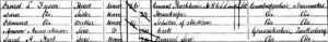 Ernest Last Fyson 'General Practitioner MRCS &amp; LSA' on the 1871 census in Tewkesbury, with his younger brother Edmund with him, a 'Scholar of Medicine' and sister Sara the housekeeper (see below or click image for source and acknowledgements etc., ref. Image 4).
