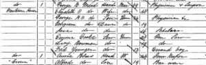 The Mead household on the 1881 census at Mentmore House next to the Crown, showing Owen aged 24 working with his father (see below or click image for source and acknowledgements etc., ref. Image 1).