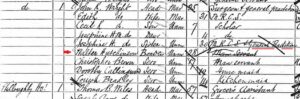 Walter Hutchinson on the 1881 census, in the household of John Wright, in Richard Faircloth's old House, which was next door to Willoughby House on Newmarket High Street (see below or click image for source and acknowledgements etc., ref. Image 2).