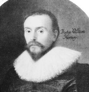 A portrait of William Harvey (see below or click image for source and acknowledgements etc., ref. Image 1).