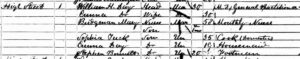The Day household on the 1861 census, with Dr Day described as a General Practitioner, in part of Thomas Panton's old mansion, thought to be the later Cardigan Lodge - see the page on Cardigan Lodge for details (see below or click image for source and acknowledgements etc., ref. Image 3).